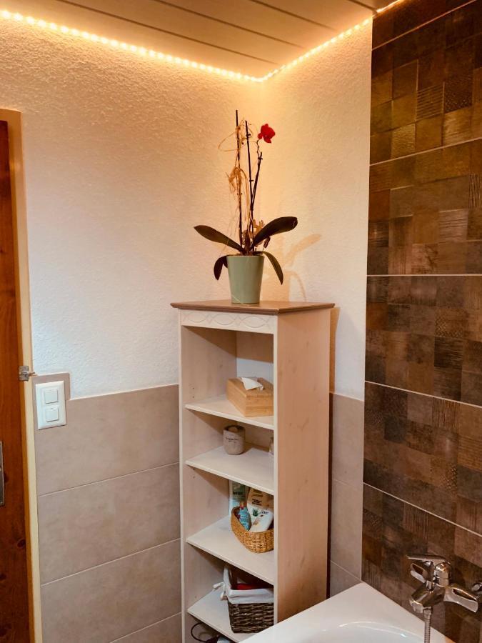 Casa Restelli App OG Gurtnellen Exteriér fotografie